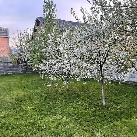 Villa Callypso